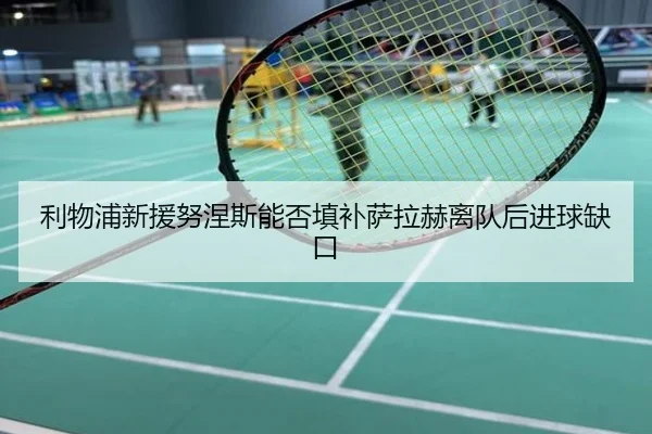 利物浦新援努涅斯能否填补萨拉赫离队后进球缺口